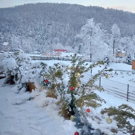 Apartament przy stoku pod lasem i z tarasem - Powrócisz Tu Hillside-2