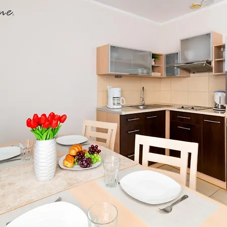 Wonder Home - Apartamenty blisko stoku, centrum i aquparku, ulica Zaciszna-2