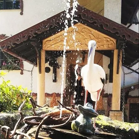 Willa Góral Goralska Osada Domki Apartamenty Pokoje-3
