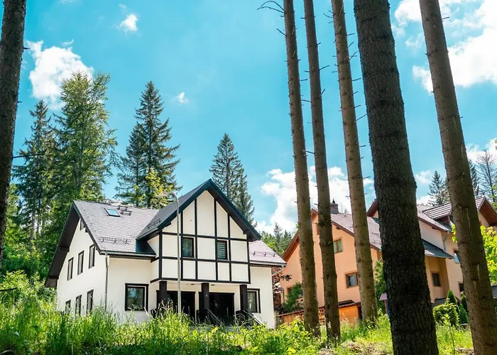 Apartament dwupoziomowy Szyszka Karpacz